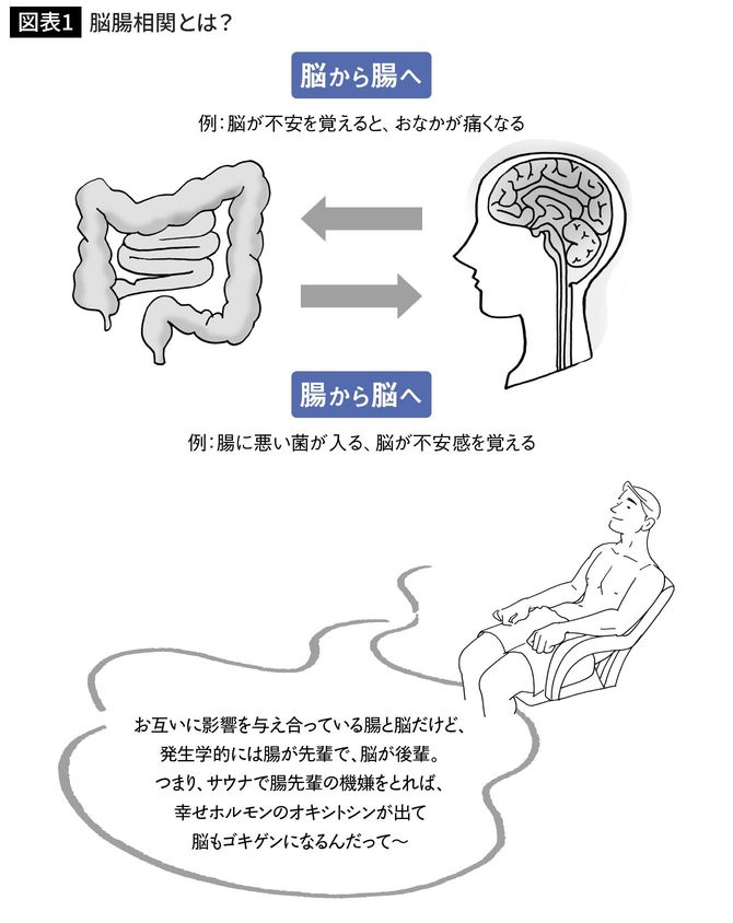 脳腸相関とは？