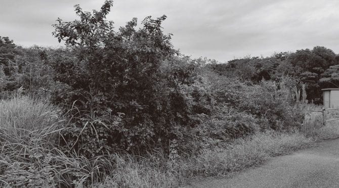 長年放置されている空き区画