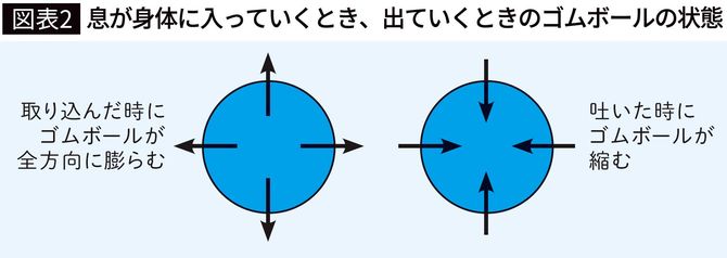 【図表2】息が身体に入っていくとき、出ていくときのゴムボールの状態