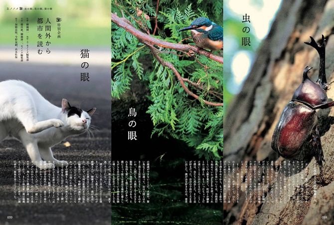 ［特別企画］虫の眼、鳥の眼、猫の眼──人間外から都市を読む_『国道16号線　日本を創った道』が話題になった柳瀬博一氏のガイドで、人間以外の生物の眼を介することで都市という環境がどう捉え直せるのかを探った異色ルポルタージュ。