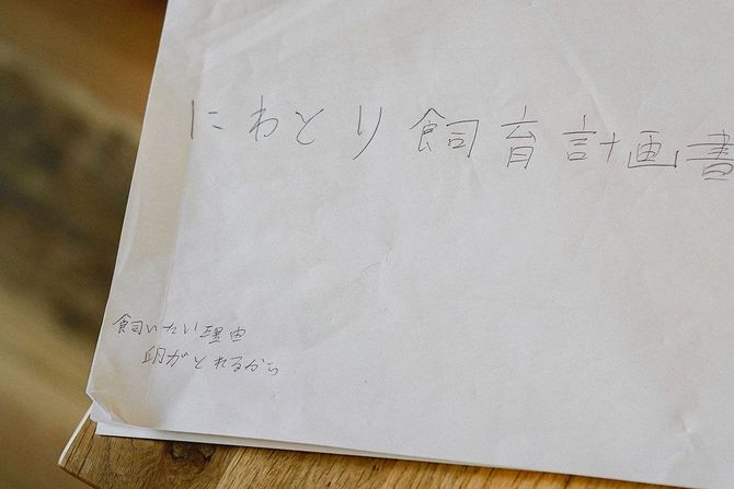 にわとり飼育計画書