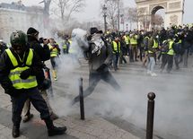 ポピュリストに塩を送る"メルクロン"の罪