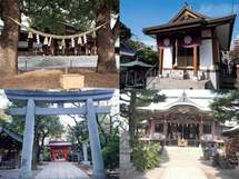 【仕事運・恋愛運編】ご利益＆パワーをチャージ！ 「効く」と評判のパワースポット