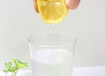 酒場の旬はレモンサワーとジントニック