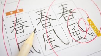 ｢宿題｣の学力向上効果はほぼない…それでも日本の学校が音読･漢字･計算ドリルをやめられない根本的理由