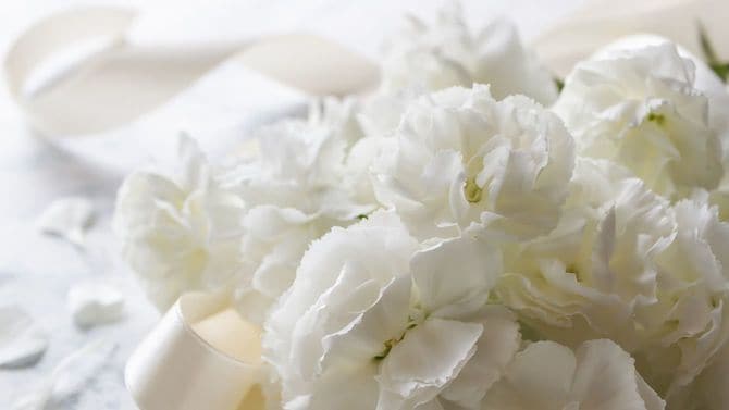 白いカーネーションのブーケ