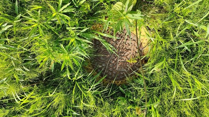 分譲地に残されている消火栓のマンホール。