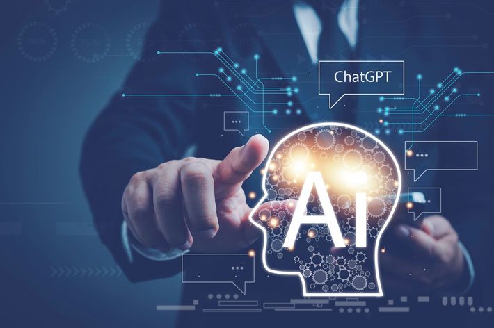 ※写真はイメージです