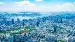 港区の5億円マンションを現金で爆買い…｢中国はやばい｣と察した中国人富裕層が"逃亡先"に日本を選んだ理由