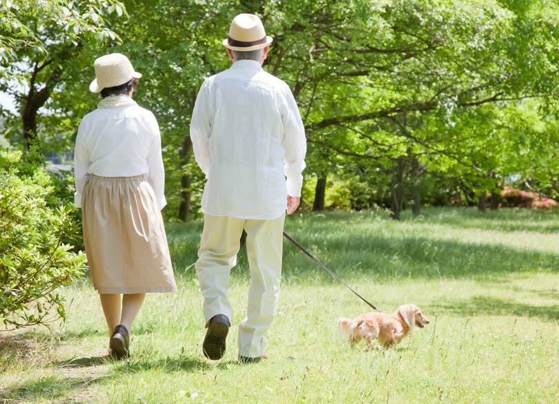 再就職せずに60歳で"隠居"した人の本音 「会社生活は本当に失敗しました」