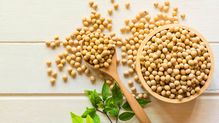 豆類とアブラナ科がお勧め…抗がん剤の権威が提唱｢細胞のがん化を抑えてくれる野菜リスト｣
