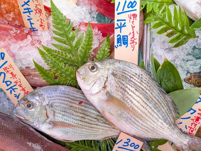 「焼くとふんわり」と手板に書かれたヘダイ。刺身でもおいしい