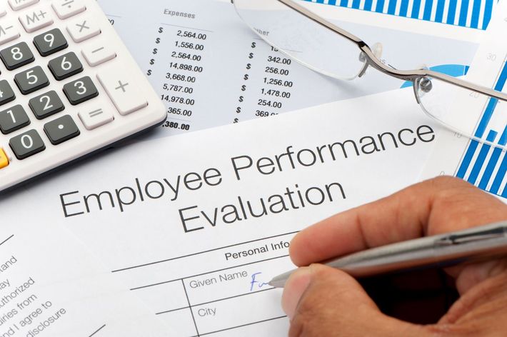 ※写真はイメージです