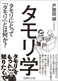 戸部田誠『タモリ学』(文庫ぎんが堂)