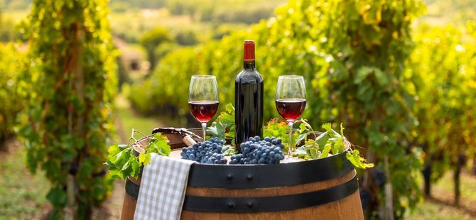 ボルドーのブドウ園にてグラスに赤ワインを注いで