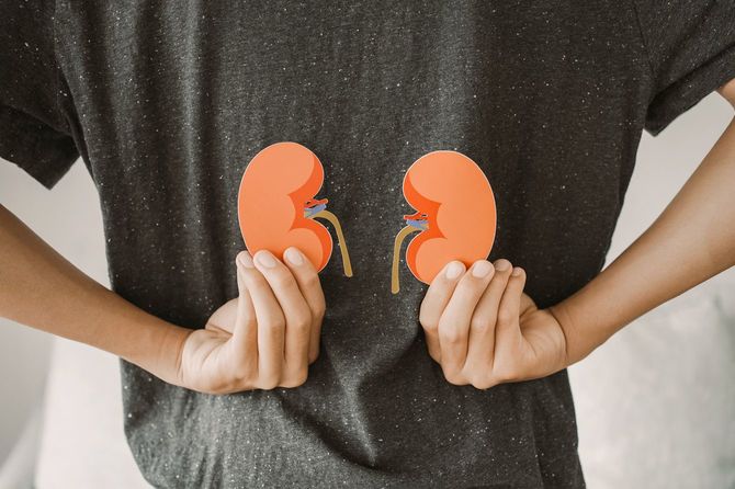 慢性腎臓病、腎不全の概念