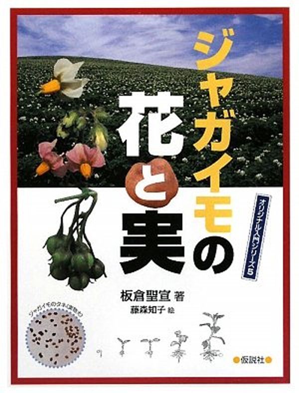板倉聖宣『ジャガイモの花と実』（仮説社）