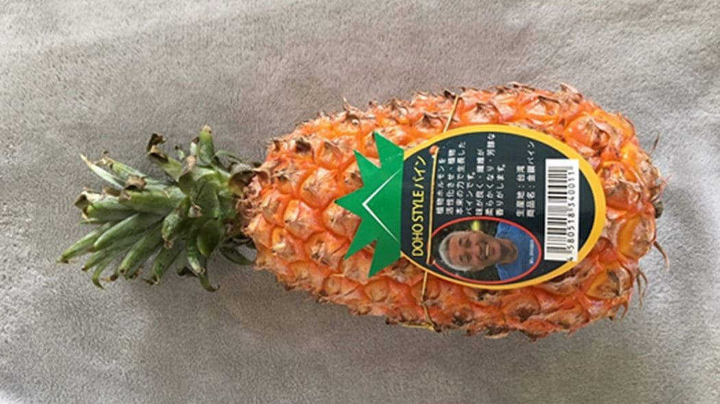 ｢肥料なしで糖度12.8→18.8度｣奇跡のパインを生んだ"道法スタイル"の非常識 組織を左遷された67歳の大逆襲