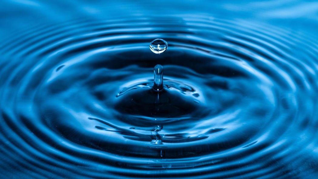 ｢日本の水道水は世界一安全｣はウソだった…発がん性PFASの影響を最も受けている"超身近な食材の名前" 濃縮されやすい｢部位｣､要注意の｢産地｣