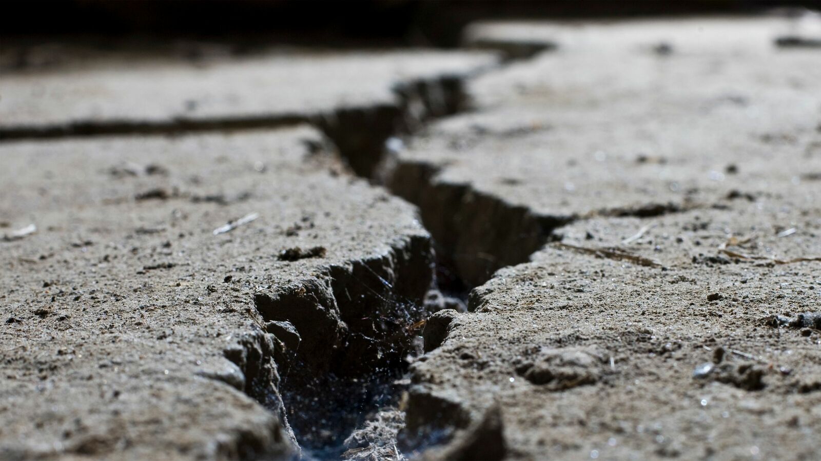 ｢地震で命を落とす確率｣は算出できる…災害が頻発する地域の住民はわかっている｢自然災害の本当のリスク｣ ハリケーンの死亡リスクは｢落雷程度｣