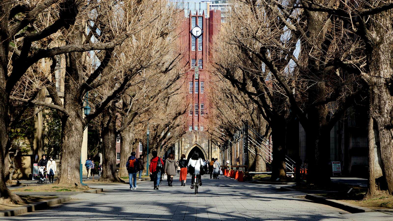 医学部に進む理由は｢偏差値が高いから｣…元東大教授･養老孟司がみた｢日本型エリート｣の本末転倒 偏差値で人を判断することの愚かさ