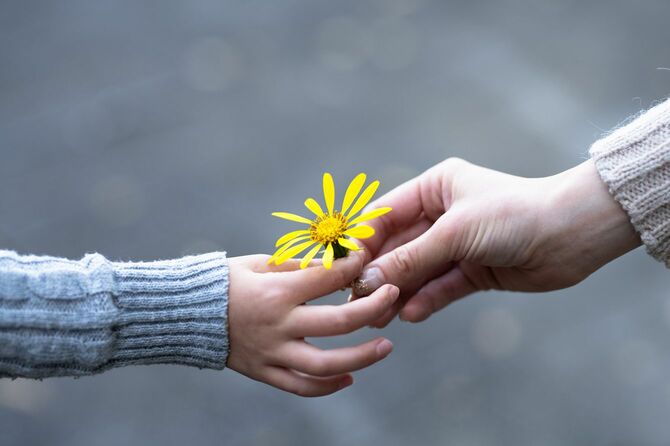 黄色い花を手渡す母