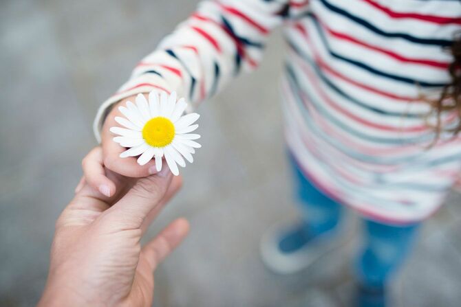 親に白い花を手渡す子ども