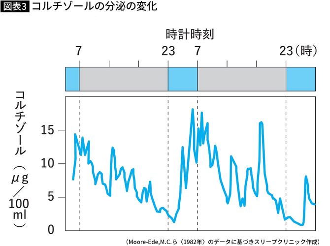 【図表】コルチゾールの分泌の変化