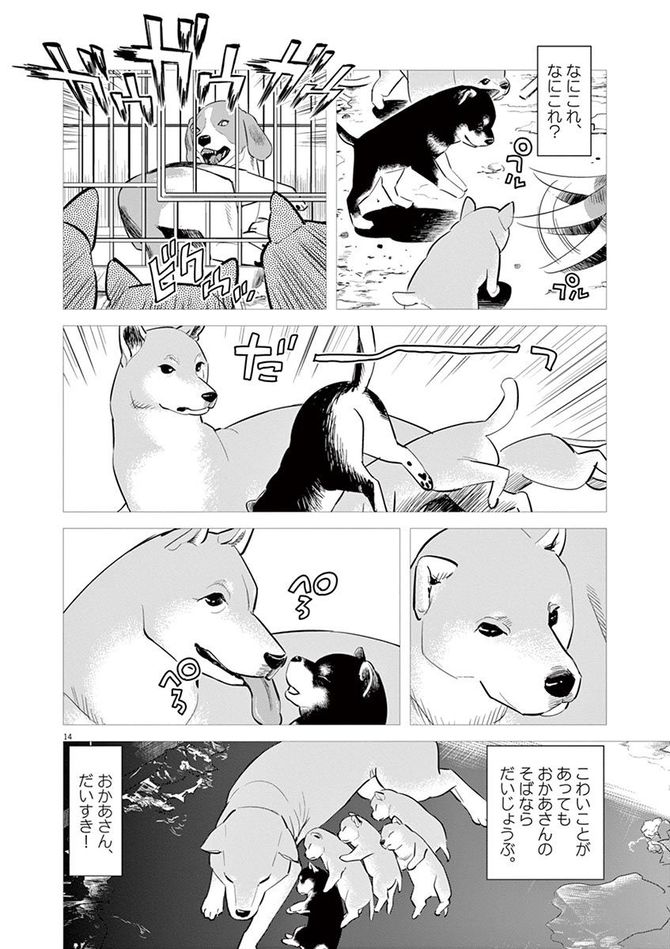 『しっぽの声』c夏緑・ちくやまきよし／小学館