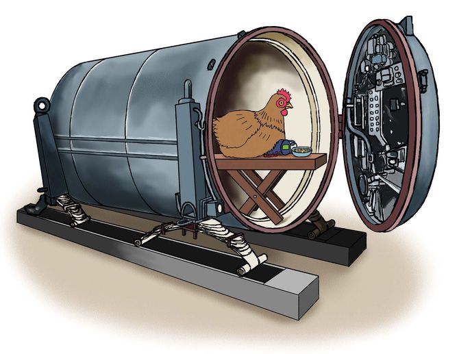 なんでニワトリを使おうと思ったのか……