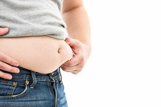 脂肪男性の胃