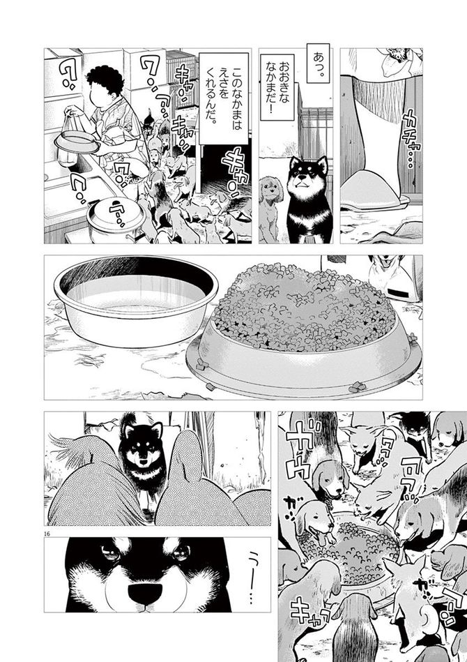 『しっぽの声』c夏緑・ちくやまきよし／小学館