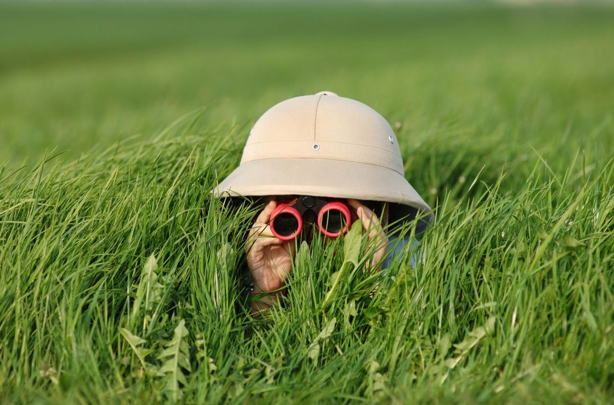 草原の草むらに隠れ、双眼鏡で何かを探している少年