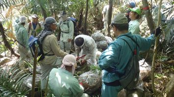 「ミカンをむくとウジ虫」が現実になるところだった…世界トップレベルの技術で外来種害虫と闘う人々の執念