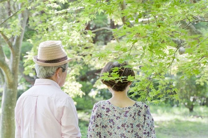 シニアカップルの後ろ姿