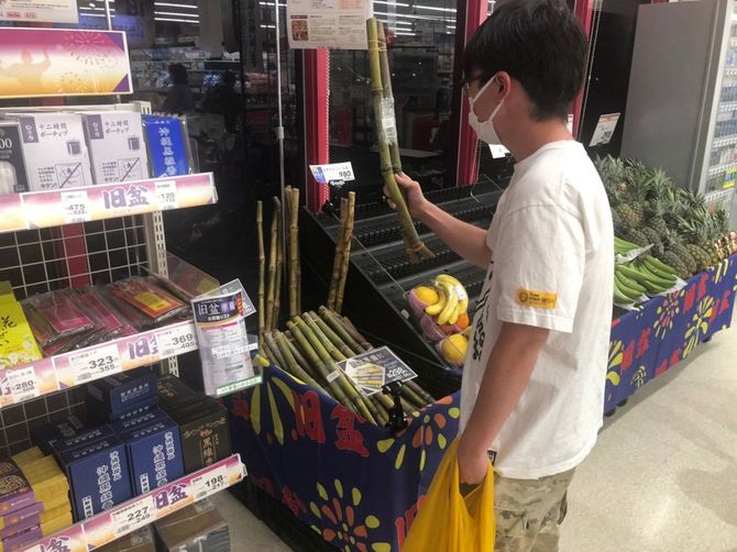 さとうきびを手に取るふみくん