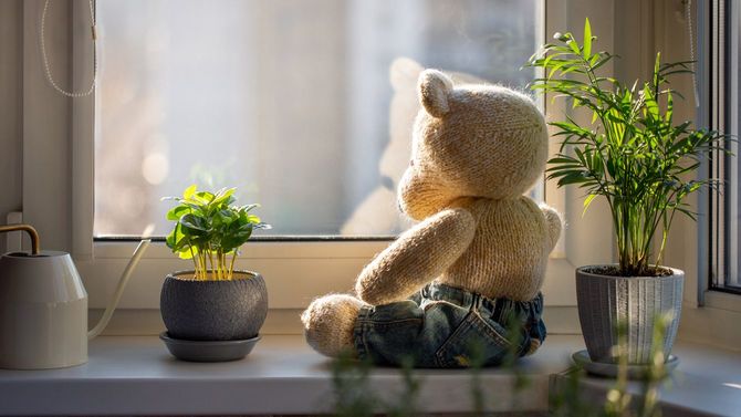 窓辺に座り、外をみるテディベア