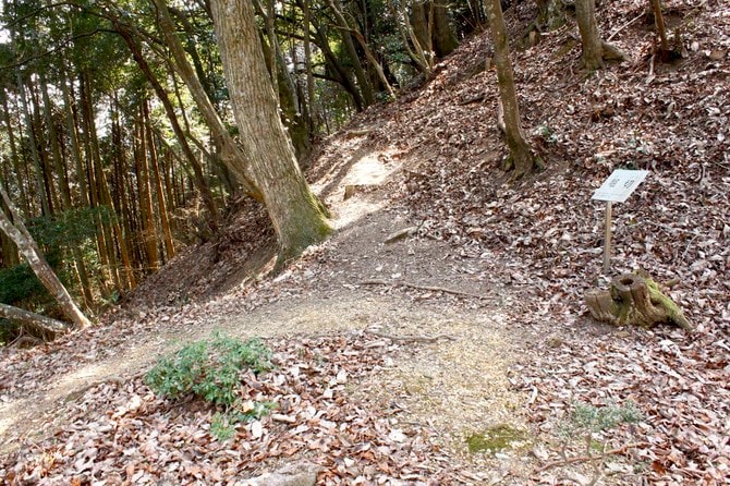 竪堀状の凹み
