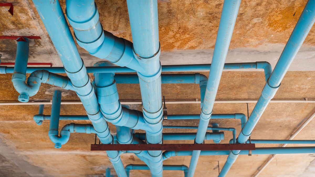 コロナタワマンの惨劇 トイレ逆流パンデミック で42人が死亡 患者の便で下水管が汚染された 2ページ目 President Online プレジデントオンライン