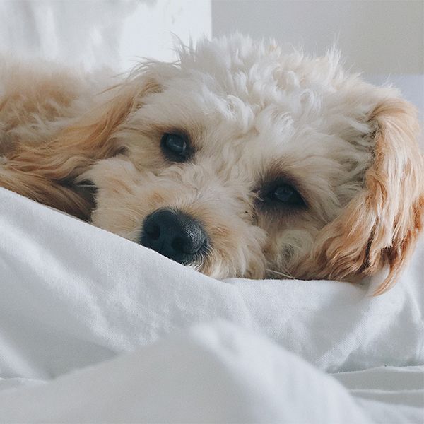 アルコール依存症になった弱い自分 を僕が文章で晒しつづけるワケ それは 弱くある贅沢 である President Online プレジデントオンライン