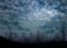 「老親の介護をする人に、がんが多い」