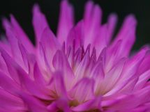 KY女か、オドオド女か。自己と他者の「評価物差し」