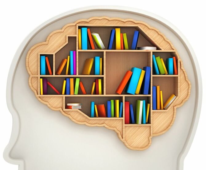 頭の中に人間の脳の形の本棚の本