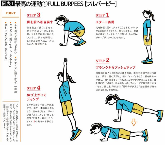 最高の運動　フルバーピー