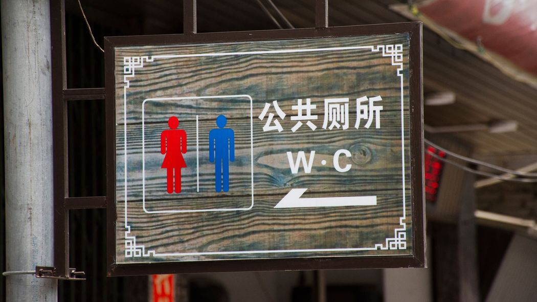 洋式は空いていても使いたくない…中国の若者たちが｢和式トイレ｣を愛好しているワケ 他人と間接的に肌が触れ合う洋式トイレは｢汚い｣