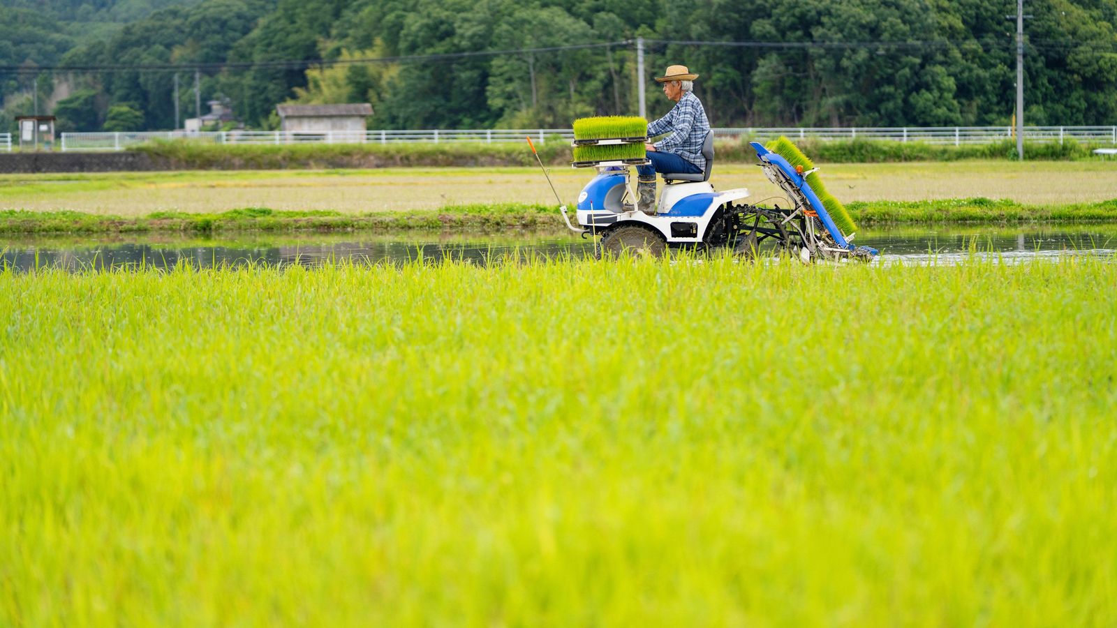 ｢コメ農家の時給10円説｣はウソである…日本人に高いコメを買わせ続ける農水省･JA農協の"裏の顔" 利権を守るためにこの国の農業をダメにした