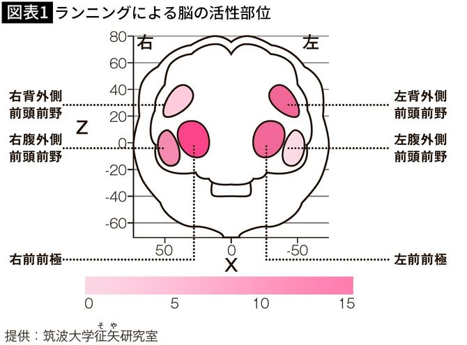 【図表1】ランニングによる脳の活性部位