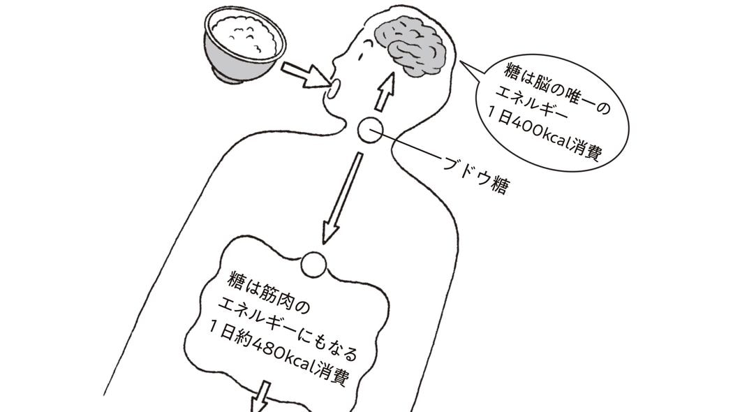 本当に痩せたいなら｢白米｣を食べたほうがいい…｢糖質制限｣では脂肪だらけの体になる不都合な真実 かえって太りやすい体をつくる"絶対やってはいけないダイエット"