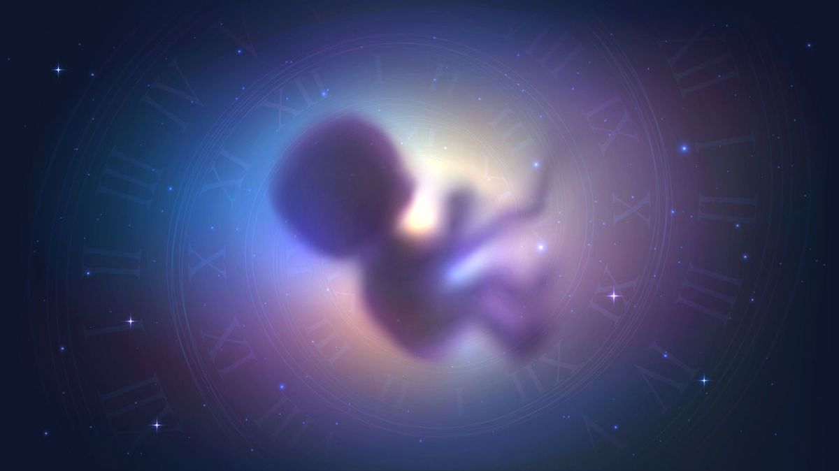 宇宙に浮かぶ胎児