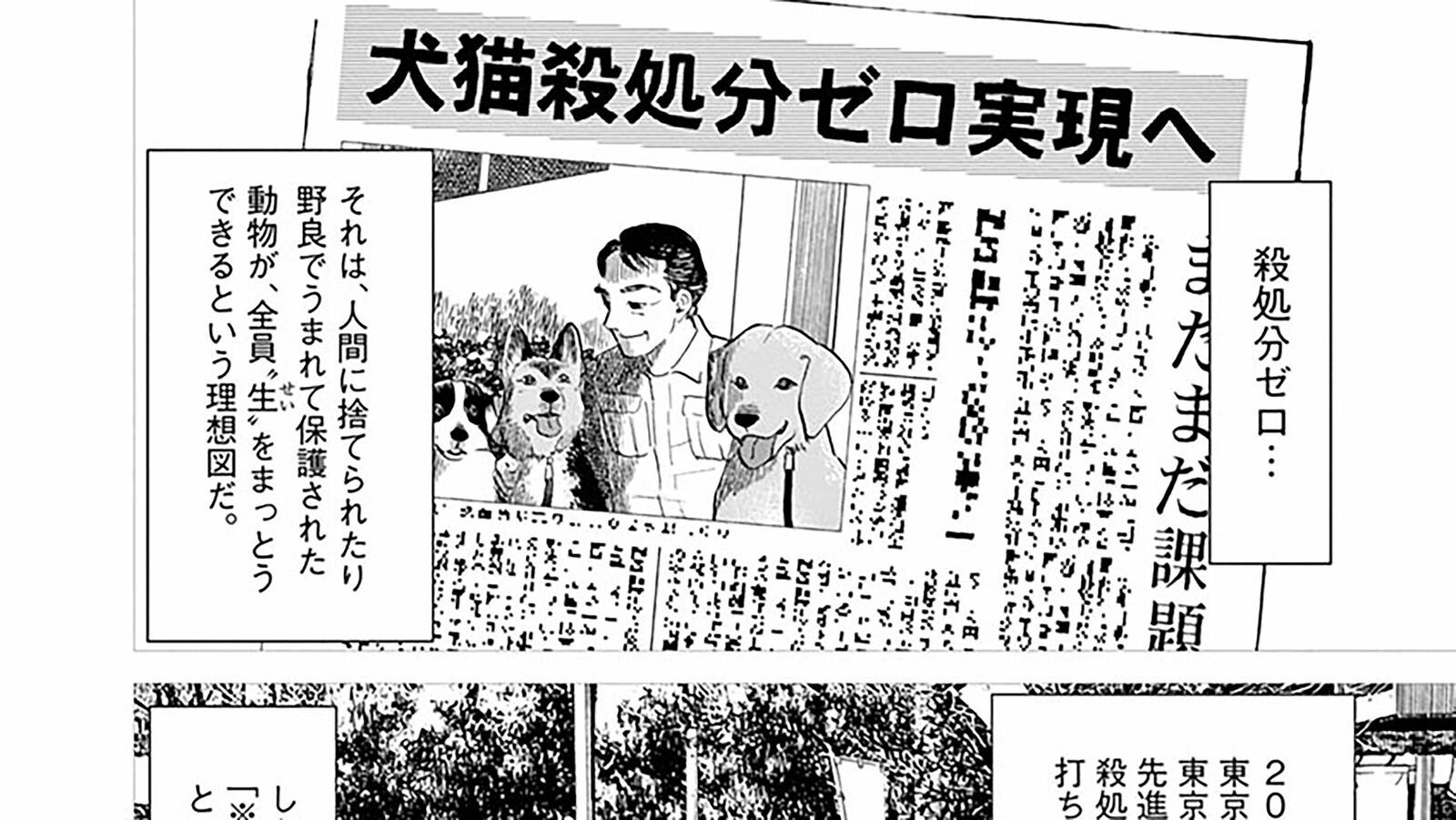 動物愛護でよく耳にする｢殺処分ゼロ｣にはからくりがある――『しっぽの声』第4巻 第29話 ｢コミック『しっぽの声』｣